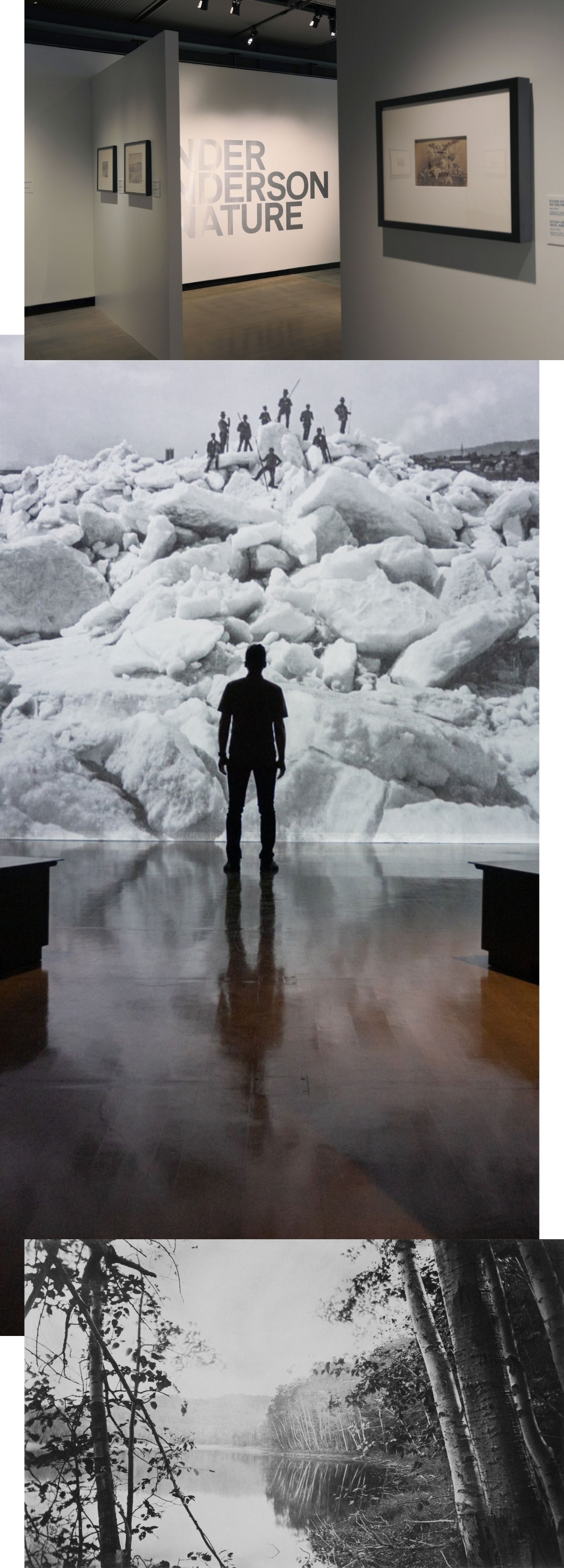 Alexander Henderson – Art & Nature | MASSIVart - Conception et scénographie d'exposition