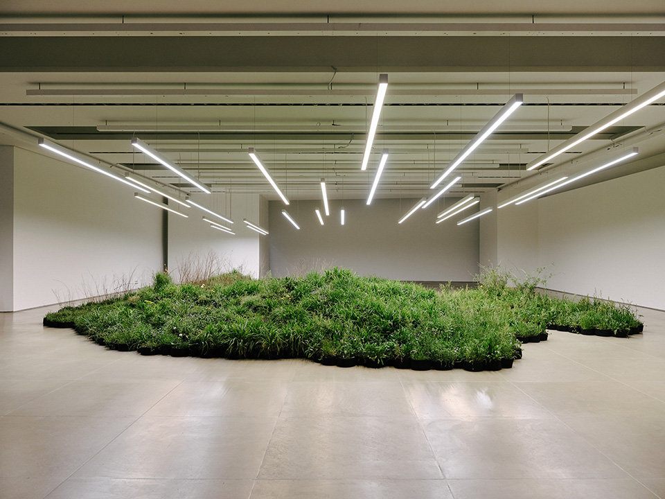 Five Captivating Installations Made With Organic Materials - MASSIVart - Linda Tegg’s Adjacent Field