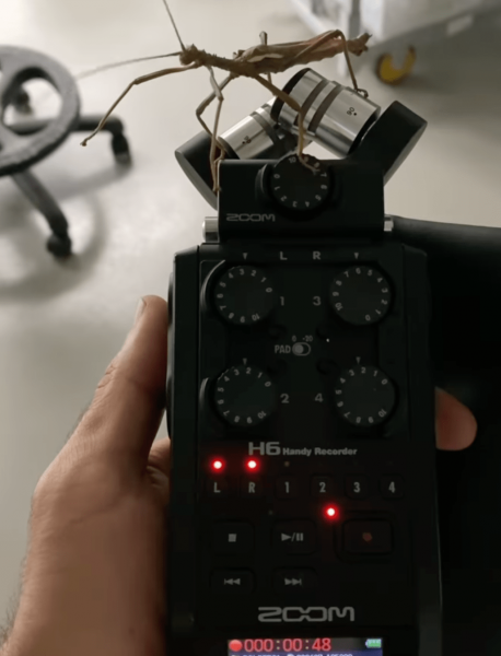 MASSIVart - Insectarium - MUTEK - Leon Louder performance on August 22nd - to celebrate the love of insects